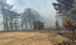 İzmir'in Ödemiş ilçesindeki orman yangını kontrol altında