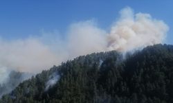 Kahramanmaraş'ta çıkan orman yangınına müdahale ediliyor