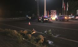 Kars'ta otomobilin çarptığı sürü sahibi öldü, 6 koyun telef oldu