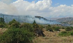 Kayseri'de ormanlık alanda çıkan yangına müdahale ediliyor