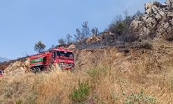 Mersin'de çıkan orman yangını kontrol altına alındı