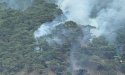 Nallıhan'da yıldırım nedeniyle çıkan orman yangını kontrol altına alındı