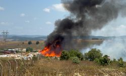 Tuzla'da otluk alanda çıkan yangına itfaiye müdahale ediyor