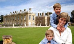 Prens William ve Harry, Prenses Diana'nın mirasından mahrum
