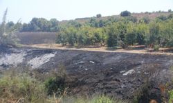 Antalya'da sazlık alanda çıkıp tarım arazisine sıçrayan yangın söndürüldü