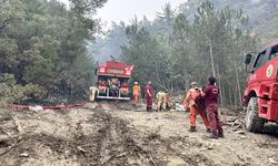 Bolu'daki yangın söndürme çalışmalarına gönüllüler de destek veriyor