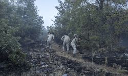 GÜNCELLEME - Tunceli'de ormanlık alanda çıkan yangın söndürüldü