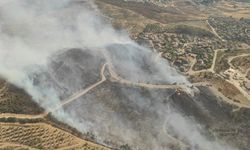 İzmir'de makilik alanda çıkan yangına müdahale ediliyor