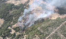 Antalya'nın Kaş ilçesinde orman yangını çıktı