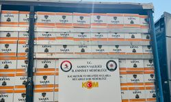 Samsun'da 5 milyon 730 bin makaron ele geçirildi