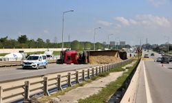 Samsun'da arı sokan tır şoförü kaza yaptı