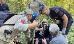 Sinop'ta mantar toplarken kaybolan kadın ormanda bulundu