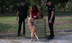 Antalya'da işitme engelli öğrencilere afet farkındalık eğitimi