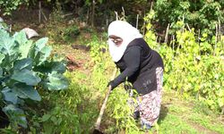 Bursa'da pazar atıkları gübreye dönüştürülüyor