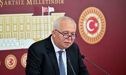 CHP'li Özkan, zorunlu arazi toplulaştırması uygulamasından vazgeçilmesini istedi