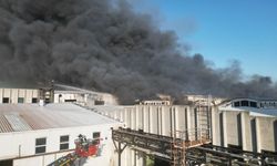 Tekirdağ'da deri fabrikasında yangın