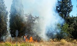 Muğla'da antik kent yakınlarında çıkan orman yangını söndürüldü