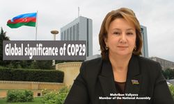 Global significance of COP29