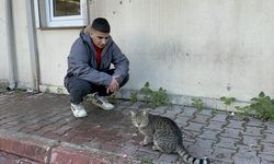 Adana'da kedinin, işçinin öğle yemeğini alıp kaçması kamerada