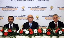 AK Parti Genel Başkan Yardımcısı Yılmaz, Elazığ'da konuştu: