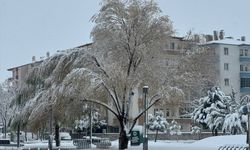 Aksaray'da kar yağışı