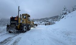 Bolu ve Bartın'da kar nedeniyle kapanan 150 köy yolu ulaşıma açıldı