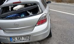 Erzincan'da köprü korkuluklarına çarpan otomobildeki anne öldü, eşi ve 2 çocuğu yaralandı