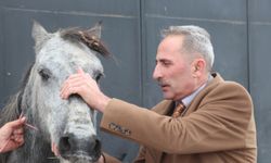 Erzurum'da "soğuktan dondu" diye görüntüleri paylaşılan atın ayağının kırık olduğu anlaşıldı