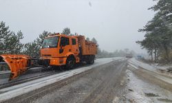 Manisa'da kar yağışı etkili oldu