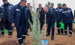 Konya Sille'de fidanlar toprakla buluştu