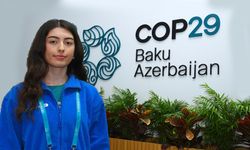 Global climate diplomacy with COP29: “Green energy” dialoguesWritten by Aytaj Adigozalova