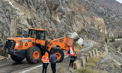 Artvin'de heyelan sonucu Karadeniz Sahil Yolu ulaşıma kapandı