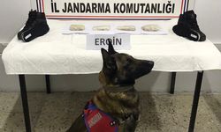Bitlis'te ayakkabı tabanına gizlenmiş 500 gram eroin ele geçirildi