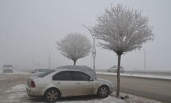 Hakkari'de soğuk hava ve sis etkili oldu