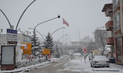Samsun'da kar yağışı etkili oluyor