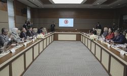 TBMM Dışişleri Komisyonu Başkanı Oktay, Karadağ-Türkiye Parlamentolar Arası Dostluk Grubu heyetiyle görüştü