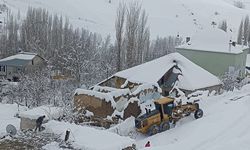 Van, Hakkari, Muş ve Bitlis'te 210 yerleşim yerine ulaşım sağlanamıyor