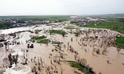Ağrı'da Murat Nehri'nin taşması sonucu tarım arazilerini su bastı