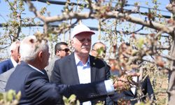 TZOB Genel Başkanı Bayraktar, Karaman'da zirai dondan etkilenen elma bahçelerini inceledi