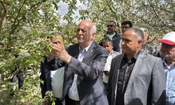 TZOB Genel Başkanı Bayraktar, Niğde ve Kırşehir'de zirai dondan etkilenen bahçeleri inceledi