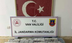 Van'da jandarma ekiplerinin kaçakçılık operasyonlarında 56 şüpheli yakalandı