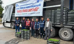 Ankara'da 1 milyonun üzerinde erkenci sebze fidesi dağıtıldı