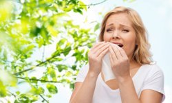 Baharın Hediyesi Polen Kaynaklı Alerjiden Nasıl Korunabiliriz?