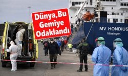 Ölümcül ‘Hantavirüs’ İçin Uluslararası Alarm!