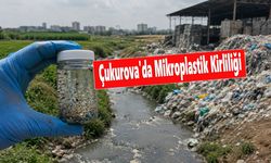 İngiltere'nin plastik atıkları Adana'da alarm verdi