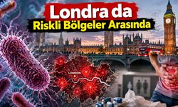 ABD ve İngiltere’de Shigella Alarmı: Antibiyotiklere Dirençli Bakteri Cinsel Temasla Yayılıyor
