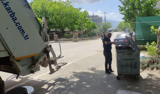 Bursa'da parçalanan ayının gövdesi çöp konteynerinde, başı bir evin bahçesinde bulundu