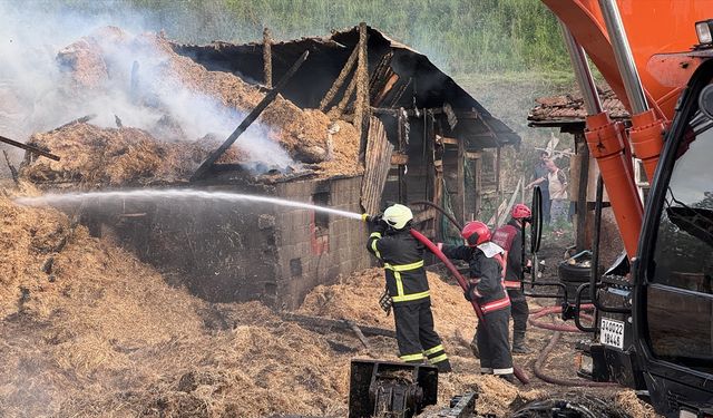 Sakarya'da çiftlikte çıkan yangında 1 kişi dumandan etkilendi