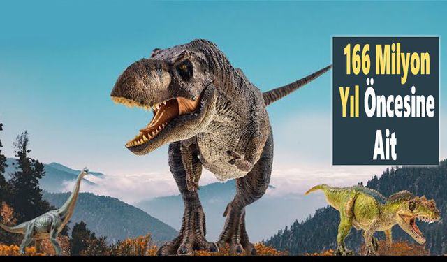 İngiltere’de 200 dinazor ayak izinin yer aldığı 5 rota bulundu