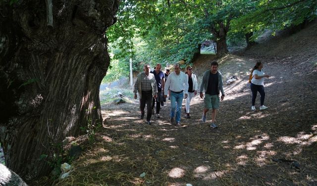 Efeler Yolu, "Avrupa Konseyi Kültür Rotaları" ağına dahil edildi